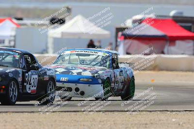 media/Oct-12-2024-Lucky Dog Racing (Sat) [[592b3fc642]]/Stint 2 From (1215pm to 140pm)/8-Turn 2/